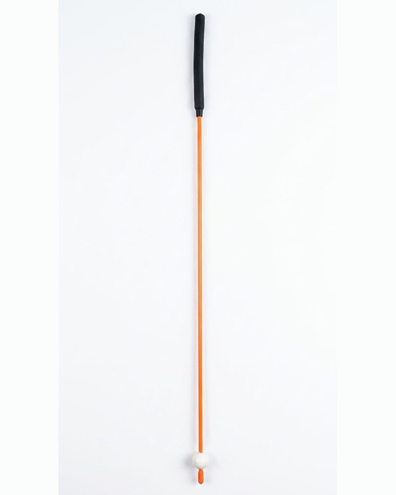Anteninha Golf Swing - foto 1